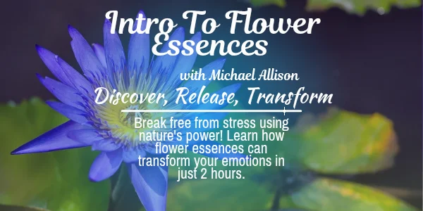 Introduction to Flower Essences with Michael Allison