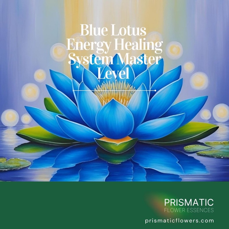 Blue Lotus Energy Healing Master Level Attunement