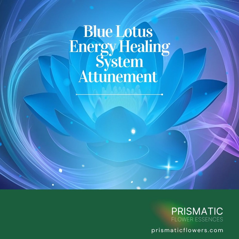 Blue Lotus Energy Healing System Attunement