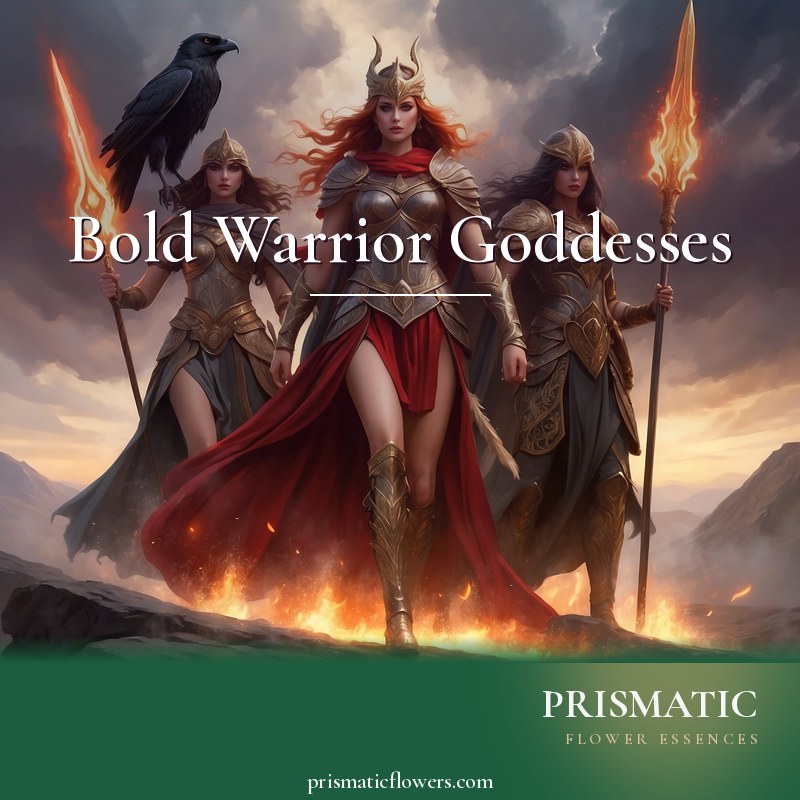 Bold Warrior Goddesses distance Reiki attunement, Warrior goddesses of protection and victory - Athena, Brigid, Macha, Andraste, and the Morrigan by Prismatic Flower Essences