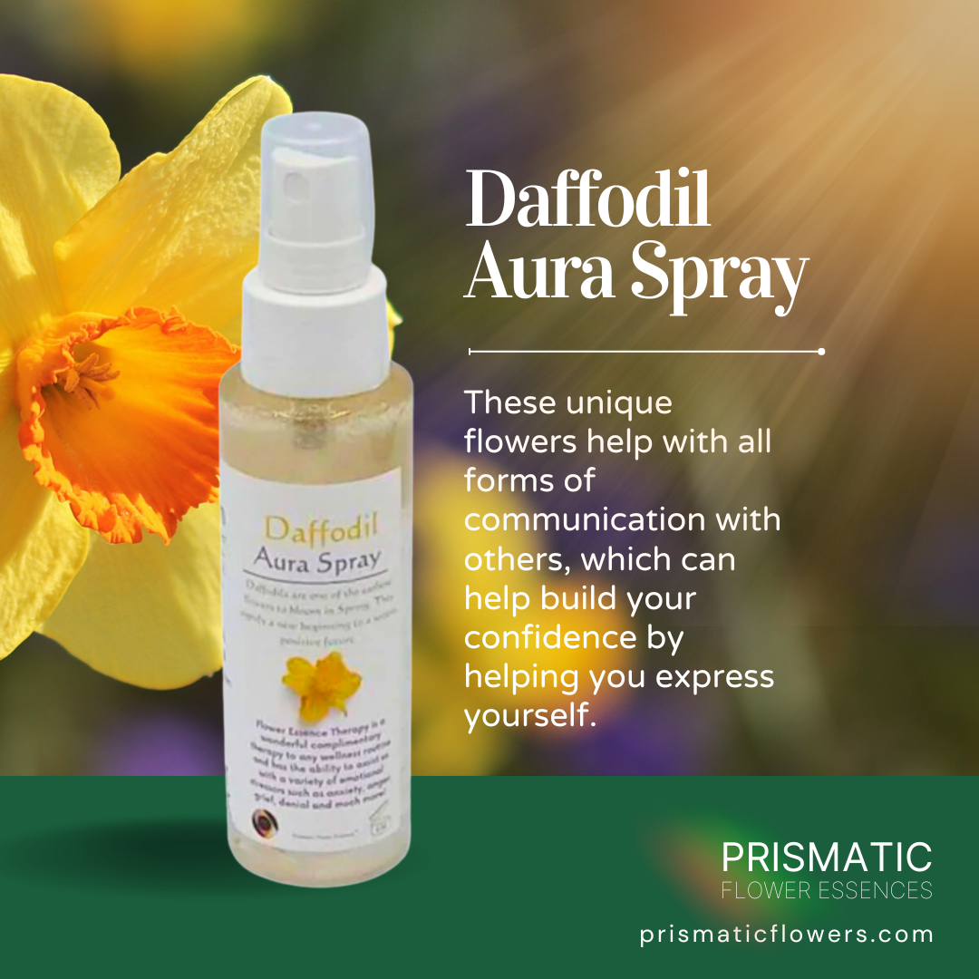 Daffodil Aura Spray (4 oz.)