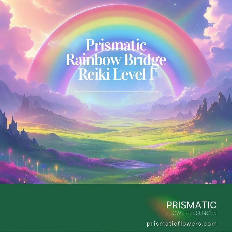 Divine Harmony Reiki - Level 1
