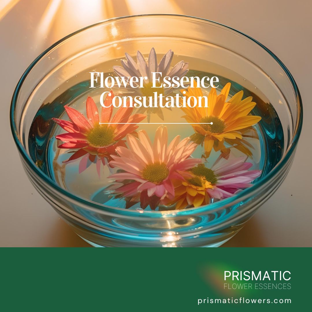 Flower Essence Consultation