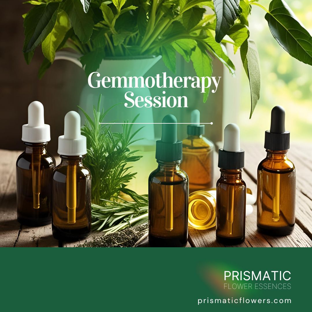 Gemmotherapy Session