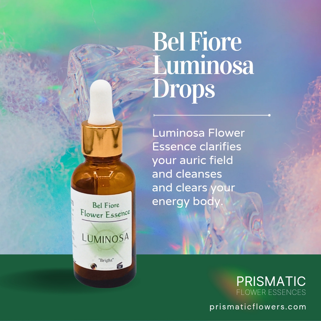 Luminosa Drops (1 oz.)