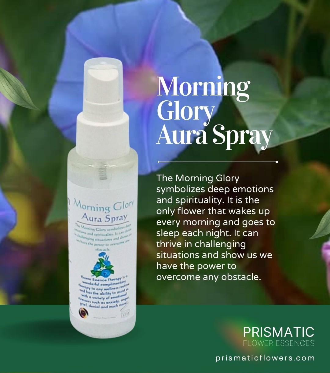Morning Glory Aura Spray (4 oz.)