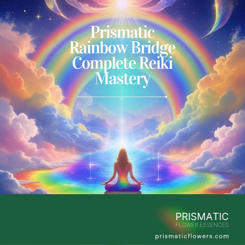Prismatic Rainbow Bridge Reiki Mastery Bundle