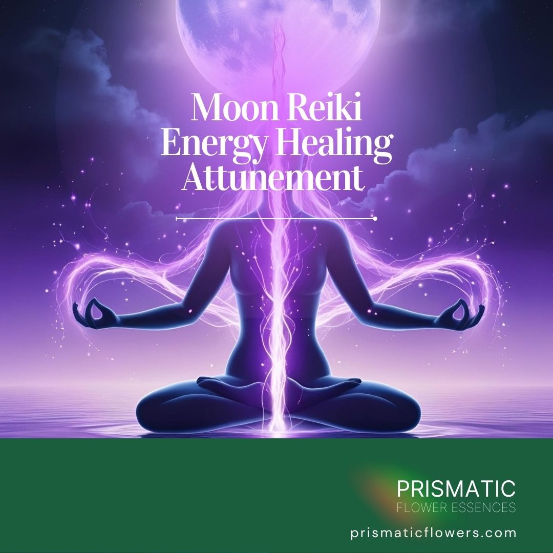 Psychic Gifts Flush Empowerment Reiki