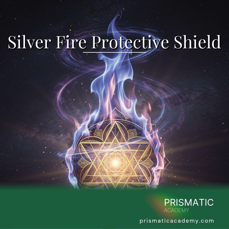 Silver Fire Protective Shield