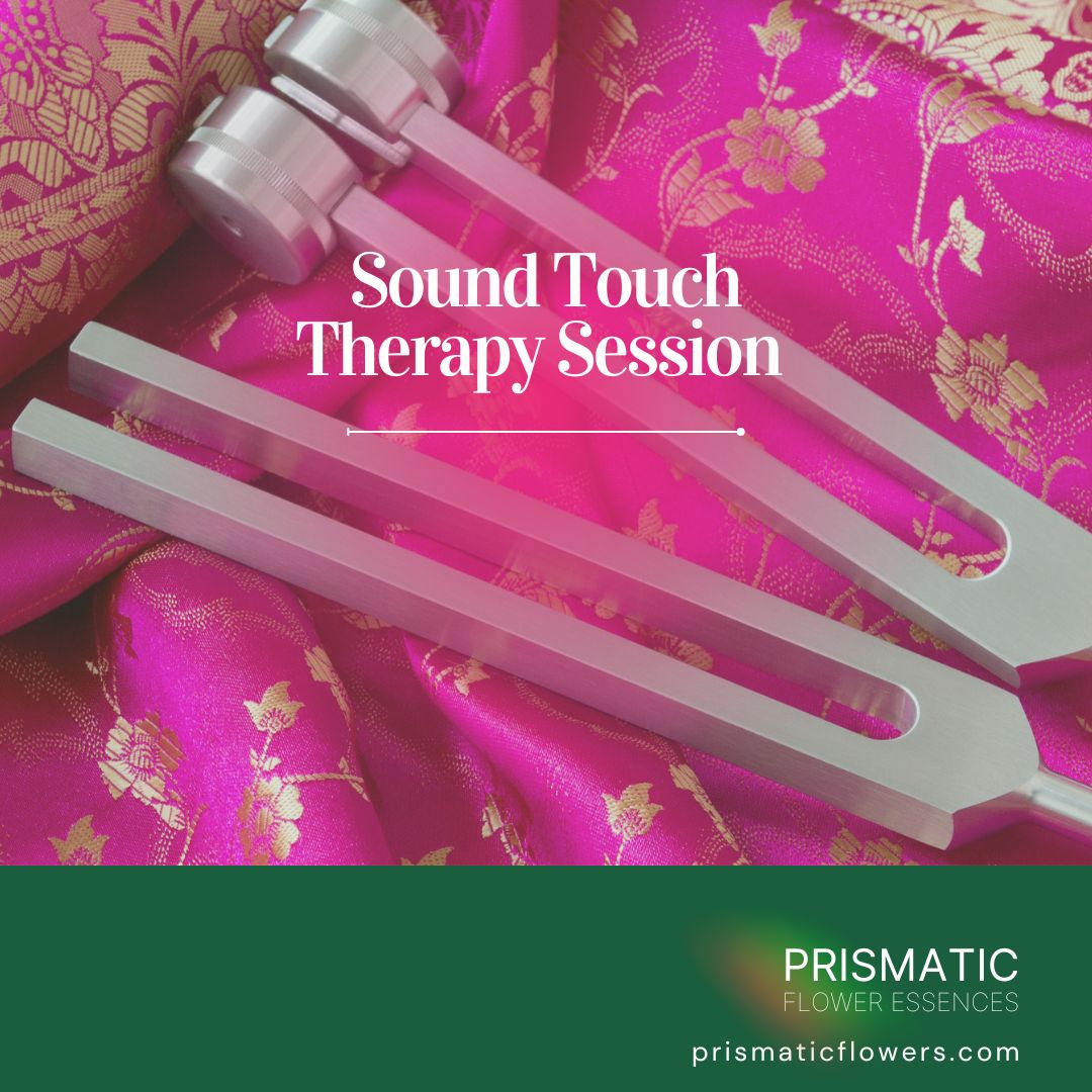 Sound Touch Therapy Session