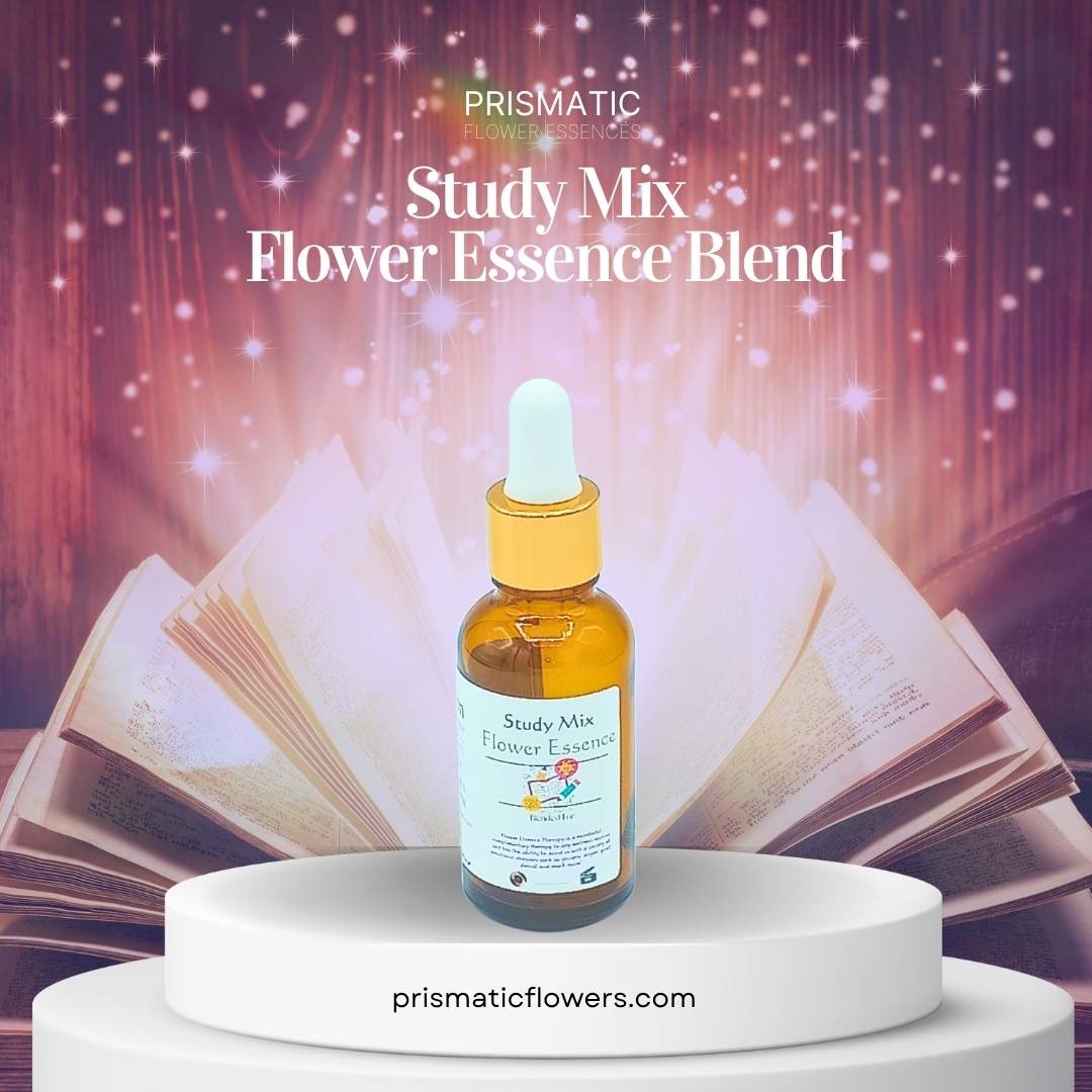 Study Mix Flower Essence Blend (1 oz.)