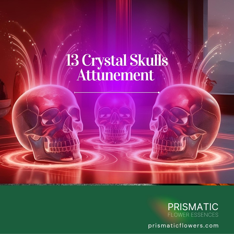 Thirteen Crystal Skulls Attunement