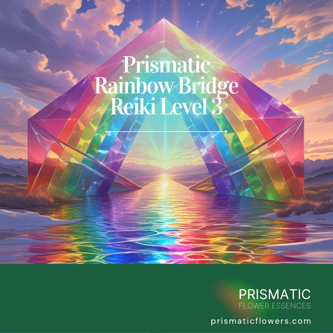 Usui Reiki Master Certification Attunement Course: Complete Level 3 Training